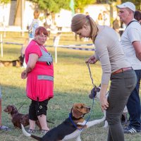 Бигль :: Светлана Ищенко