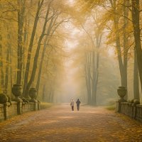 ***- :: Aleksey Afonin