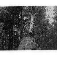 №118 :: Alex Bes №118 :: Alex Bes