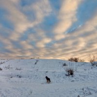 Здравствуй, новый день! :: Елена Хайдукова  ( Elena Fly )