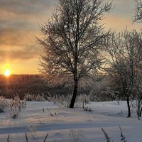 На закате :: Олег Загорулько