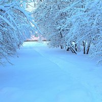 Когда небо синее - снег голубой :: Татьяна Лютаева