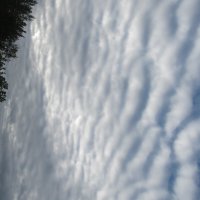 небо в полоску :: Елена Шаламова