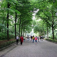 Берлин. Трептов - Парк. :: Владимир Драгунский