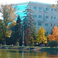 Осень  золотая :: Валентин Семчишин