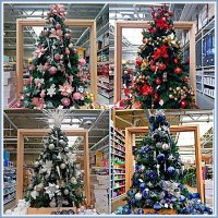 Ёлочки Бауцентра. :: Валерия Комова