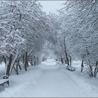 Зима пришла ... :: Валентина Надсон Зима пришла ... :: Валентина Надсон