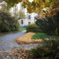 Осень в ботаническом саду. :: Лилия * Осень в ботаническом саду. :: Лилия *