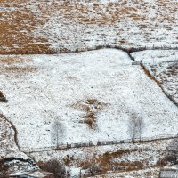 Из серии "Графика первого снега" :: Фёдор. Лашков