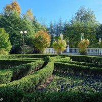 Адлер. Дендропарк "Южные культуры" :: Нина Бутко Адлер. Дендропарк "Южные культуры" :: Нина Бутко