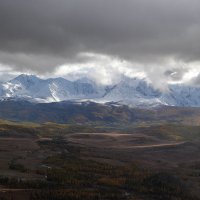 *** :: владимир 