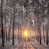 На исходе дня :: alex graf