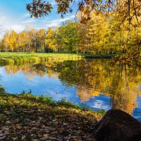 в парке :: navalon M