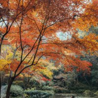 Парк "Источник Хупао," или "Источник тигра" :: Дмитрий