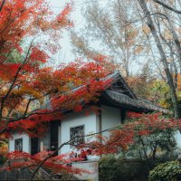 Парк "Источник Хупао," или "Источник тигра" :: Дмитрий