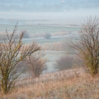 Предзимье.... :: Надежда Куркина Предзимье.... :: Надежда Куркина