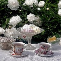 Летнее утро! :: Нина Андронова Летнее утро! :: Нина Андронова