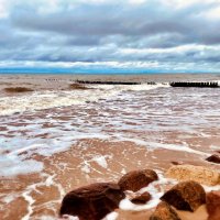 Зеленоградск :: Антон 