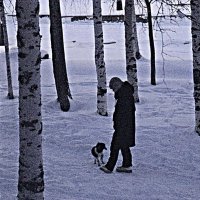 Декабрь...Песик замерз! :: Владимир 