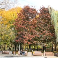 ОСЕННИЙ ОТДЫХ В ПАРКЕ :: Валентина ОСЕННИЙ ОТДЫХ В ПАРКЕ :: Валентина