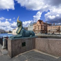 Петербургские ракурсы :: Евгений Петербургские ракурсы :: Евгений