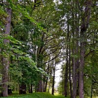 ПЕТРОВСКОЕ, вотчина Ганнибалов. :: Виктор Осипчук ПЕТРОВСКОЕ, вотчина Ганнибалов. :: Виктор Осипчук