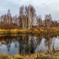 Во такая зима в Подмосковье 2 :: Андрей Дворников Во такая зима в Подмосковье 2 :: Андрей Дворников