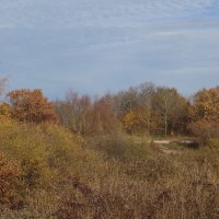 Осенний пейзаж :: Рита Симонова Осенний пейзаж :: Рита Симонова