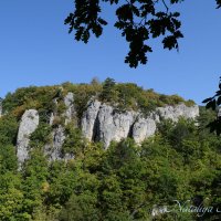 Природа Крыма :: Amazing Cosmea