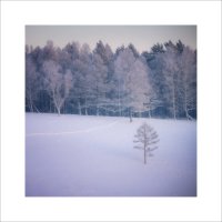 * :: Александр Иванов * :: Александр Иванов