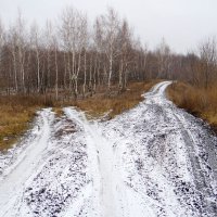 На развилках декабря.... :: Андрей Заломленков