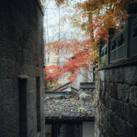 Осенью в парке :: Дмитрий Осенью в парке :: Дмитрий