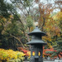 Осень в парке :: Дмитрий Осень в парке :: Дмитрий