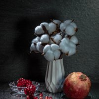 Алые зёрна на чёрном. :: Анатолий Нецепляев