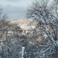 вид из окна :: Ольга Конькова