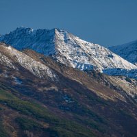 ... :: Жора Житников