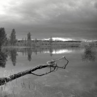 Первый ледок :: Юрий Налобин Первый ледок :: Юрий Налобин