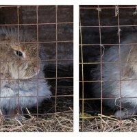 Сразу видно за дело посадили :) :: Роман никандров Сразу видно за дело посадили :) :: Роман никандров