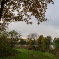 *** :: Николай Гирш