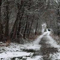 первоснежье декабря :: Любовь первоснежье декабря :: Любовь