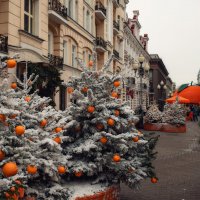 ... :: Лилия . ... :: Лилия .