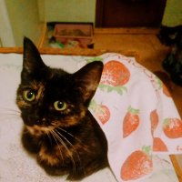 Принцесса :: Сергей Кочнев Принцесса :: Сергей Кочнев