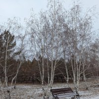 Декабрь :: Андрей Хлопонин Декабрь :: Андрей Хлопонин