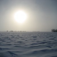 Мороз и туман :: Anna Ivanova