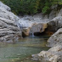 Природа Крыма :: Amazing Cosmea