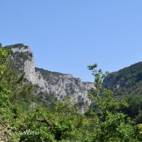 Природа Крыма :: Amazing Cosmea