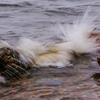 Искры волны :: Георгий А Искры волны :: Георгий А