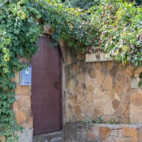 на улицах Кисловодска :: navalon M