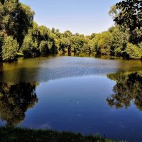 Головинский пруд :: Анатолий Колосов