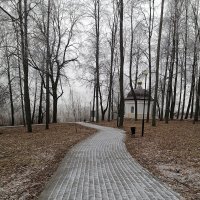 *** :: Зоя Мишина